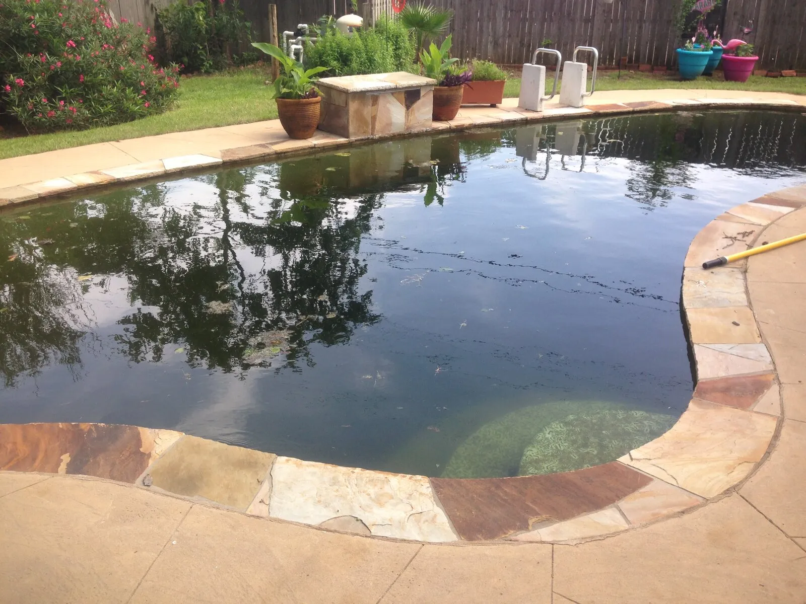 Green pool water before — Fort Worth backyard pool needing maintenance