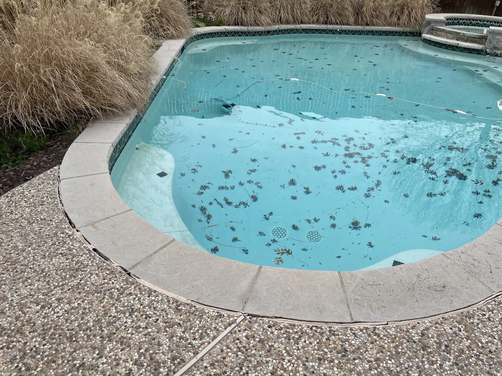 Pool remodel before — DFW residential pool ready for remodel
